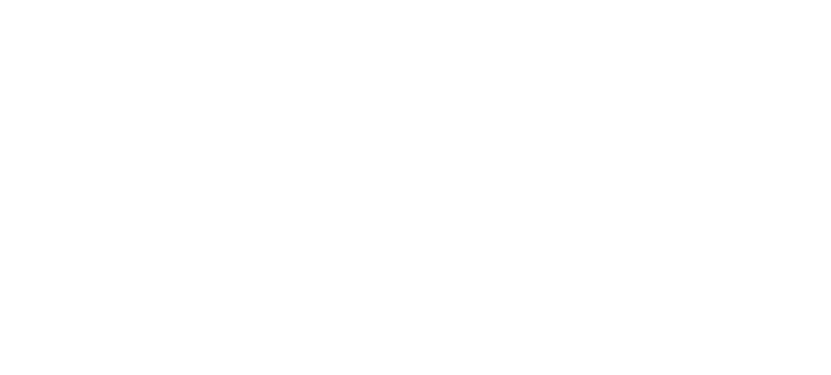 Odoo Partner
